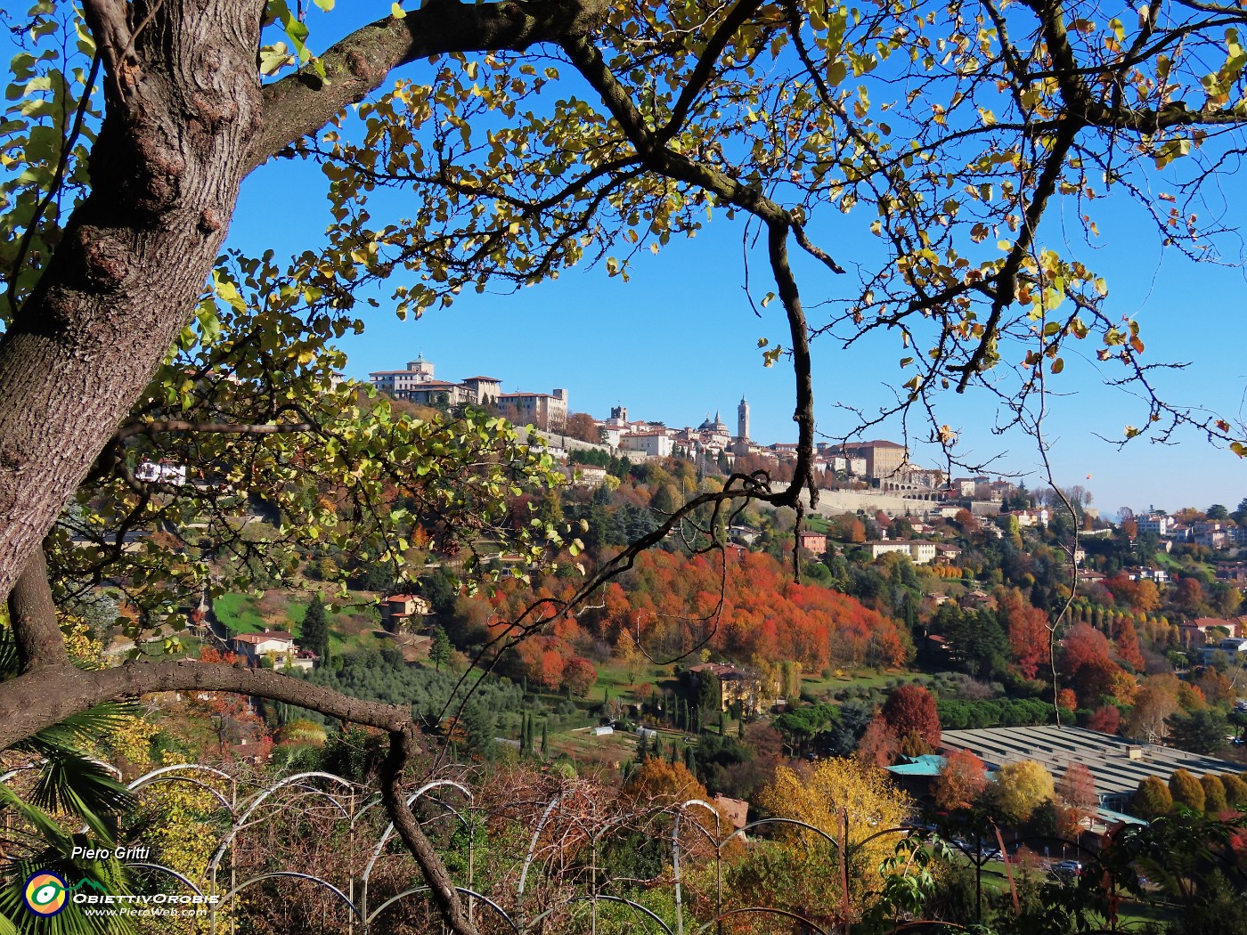 13 Citta Alta baciata dal sole in look autunnale.JPG